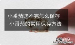 小番茄吃不完怎么保存 小番茄的常用保存方法