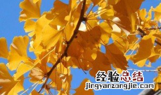 立秋后天气有什么变化 立秋后天气的变化