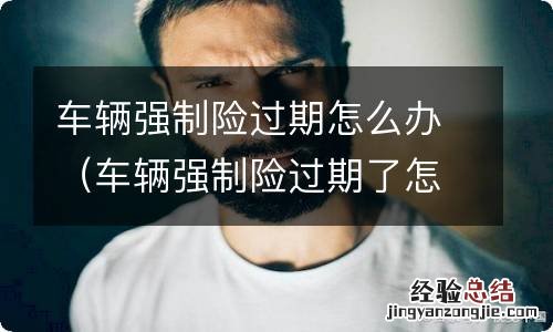 车辆强制险过期了怎么办 车辆强制险过期怎么办