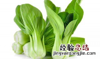 给青菜补充营养的方法 给蔬菜“补营养”关键点一定要抓好