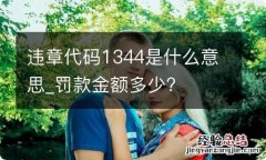 违章代码1344是什么意思_罚款金额多少?