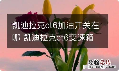 凯迪拉克ct6加油开关在哪 凯迪拉克ct6变速箱油加油口在哪