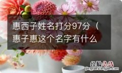 惠子惠这个名字有什么含义 惠西子姓名打分97分