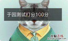 于园测试打分100分