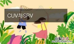 CUV与SRV