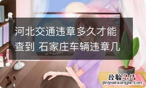 河北交通违章多久才能查到 石家庄车辆违章几天能查到