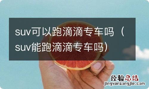 suv能跑滴滴专车吗 suv可以跑滴滴专车吗