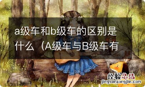 A级车与B级车有什么区别 a级车和b级车的区别是什么