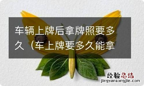 车上牌要多久能拿到牌照 车辆上牌后拿牌照要多久