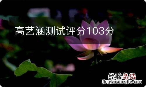 高艺涵测试评分103分