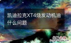 凯迪拉克XT4烧发动机油什么问题