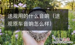 途观原车音响怎么样 途观用的什么音响