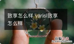 致享怎么样 yarisl致享怎么样