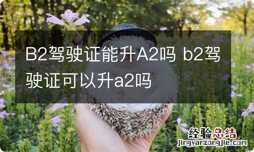 B2驾驶证能升A2吗 b2驾驶证可以升a2吗