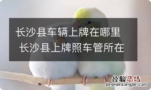 长沙县车辆上牌在哪里 长沙县上牌照车管所在哪里?