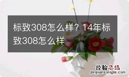 标致308怎么样? 14年标致308怎么样