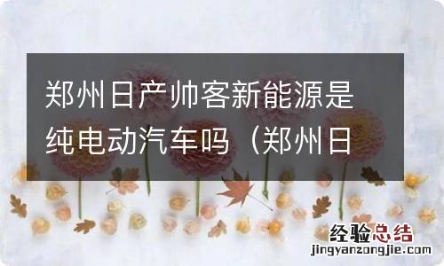 郑州日产帅客新能源多少钱 郑州日产帅客新能源是纯电动汽车吗