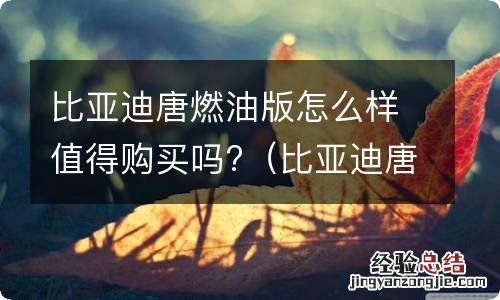 比亚迪唐燃油版怎么样值得购买吗多少钱 比亚迪唐燃油版怎么样值得购买吗?