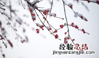 黄山五绝分别是什么 黄山五绝分别是什么代表那五个生肖