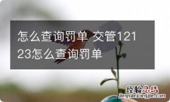 怎么查询罚单 交管12123怎么查询罚单