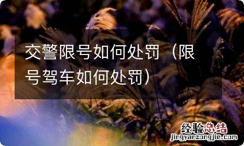 限号驾车如何处罚 交警限号如何处罚