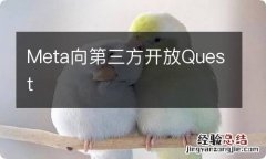 Meta向第三方开放Quest