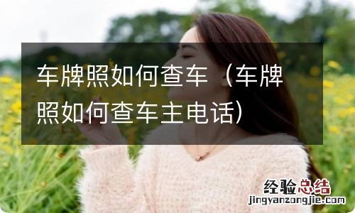 车牌照如何查车主电话 车牌照如何查车