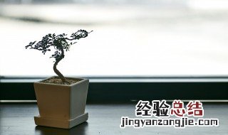 绿植配盆大小的正确方法视频 绿植配盆大小的正确方法