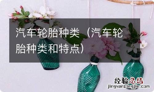 汽车轮胎种类和特点 汽车轮胎种类