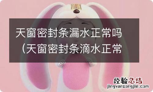 天窗密封条滴水正常吗 天窗密封条漏水正常吗