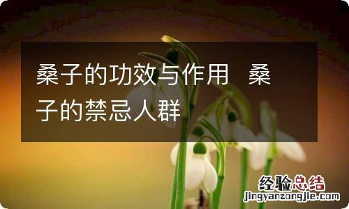 桑子的功效与作用桑子的禁忌人群