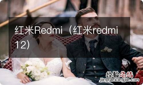 红米redmi12 红米Redmi