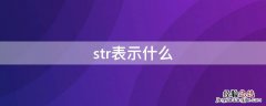 str表示什么 str表示什么意思