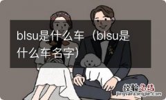 blsu是什么车名字 blsu是什么车