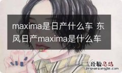 maxima是日产什么车 东风日产maxima是什么车