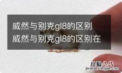 威然与别克gl8的区别 威然与别克gl8的区别在哪里