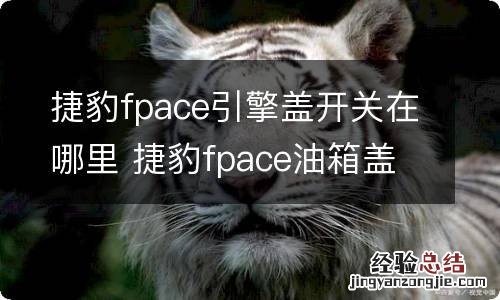 捷豹fpace引擎盖开关在哪里 捷豹fpace油箱盖按键在哪