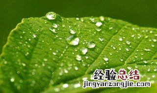 关于雨的句子伤感说说 下雨伤感的句子说说心情短语