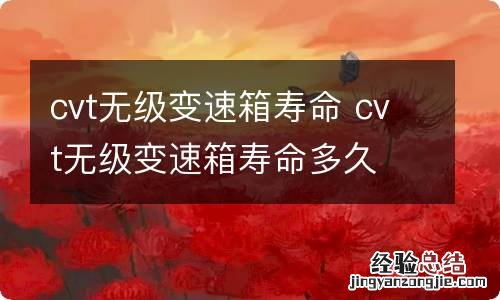 cvt无级变速箱寿命 cvt无级变速箱寿命多久