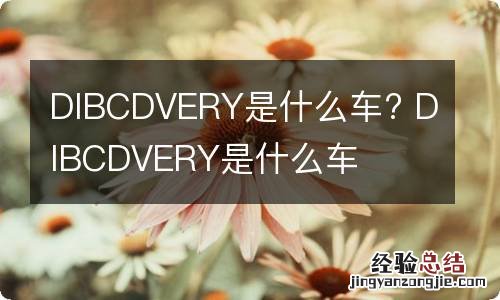 DIBCDVERY是什么车? DIBCDVERY是什么车