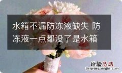 水箱不漏防冻液缺失 防冻液一点都没了是水箱漏了吗