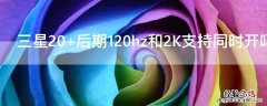 三星20+后期120hz和2K支持同时开吗