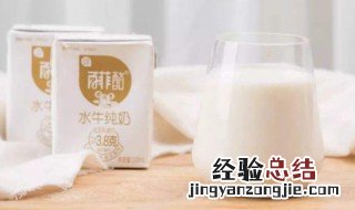 什么是水牛奶 什么是水牛奶酪