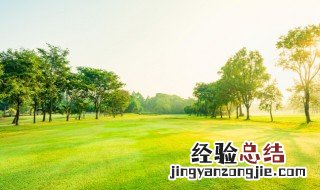 公顷用在什么位置比较合适 公顷适合用于什么地方