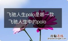 飞驰人生polo是哪一款 飞驰人生中的polo