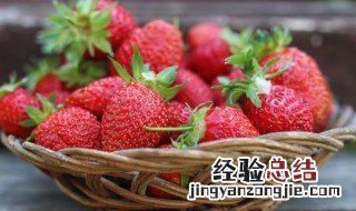 新鲜草莓怕冻吗 新鲜草莓怕冻吗怎么保存