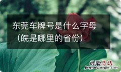 皖是哪里的省份 东莞车牌号是什么字母