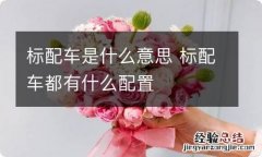 标配车是什么意思 标配车都有什么配置