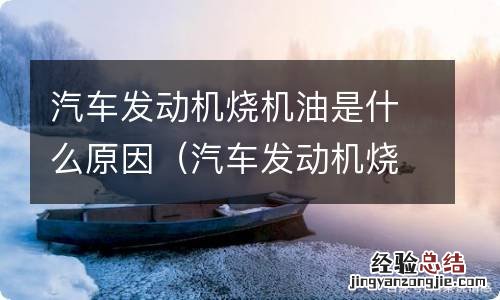 汽车发动机烧机油处理方案 汽车发动机烧机油是什么原因