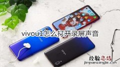 vivou1怎么打开录屏声音